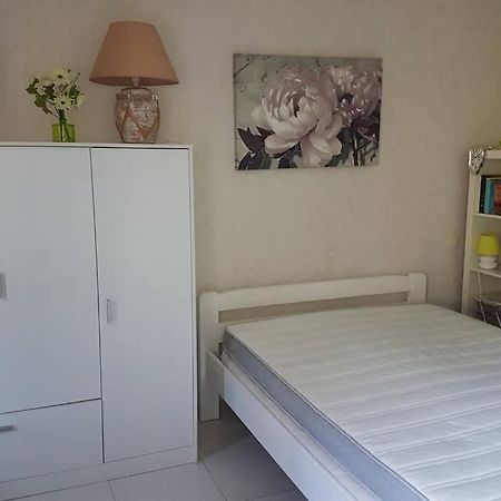 شقة Appt 2 Etoiles Agreable Et Calme Vue Sur Montagnes Amélie-les-Bains-Palalda المظهر الخارجي الصورة